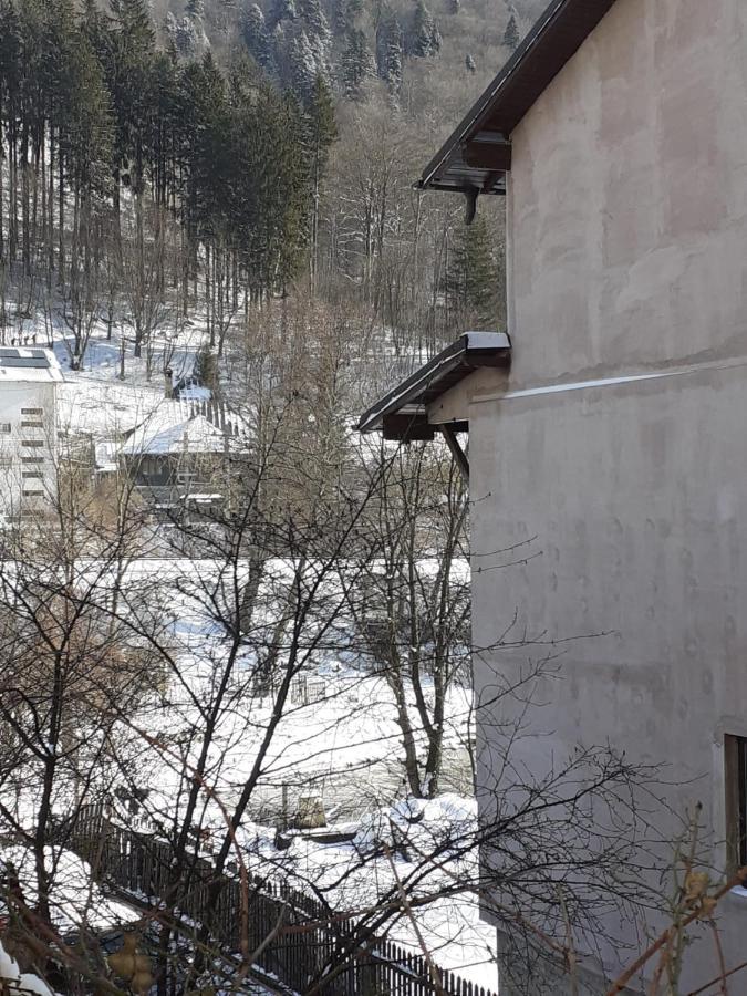 Casa Ryana Sinaia Exterior foto